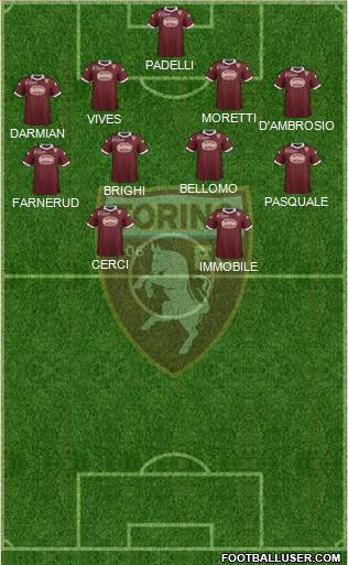 Torino Formation 2013