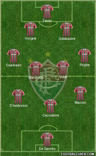 Fluminense FC Formation 2013