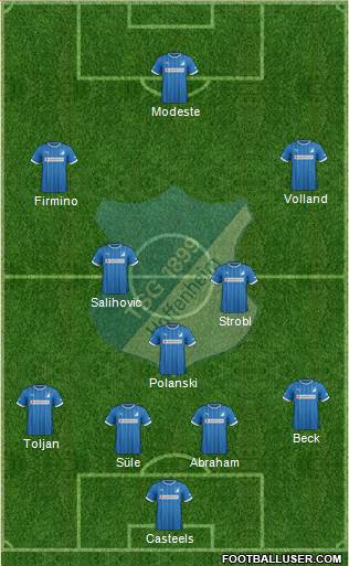 TSG 1899 Hoffenheim Formation 2013