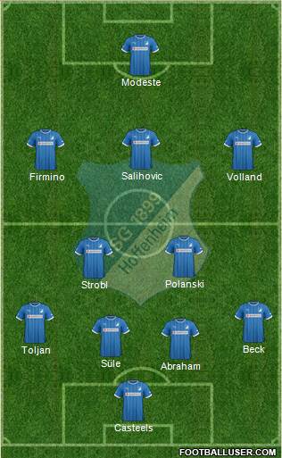 TSG 1899 Hoffenheim Formation 2013