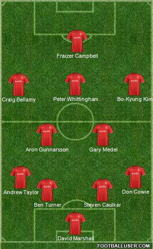 Cardiff City Formation 2013