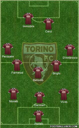 Torino Formation 2013