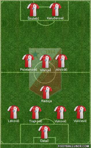 FK Vojvodina Novi Sad Formation 2013