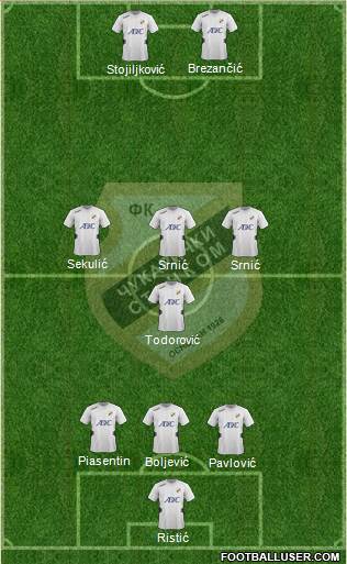 FK Cukaricki Stankom Beograd Formation 2013