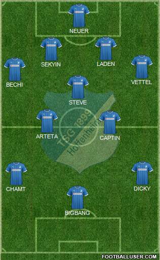 TSG 1899 Hoffenheim Formation 2013