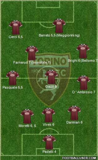 Torino Formation 2013