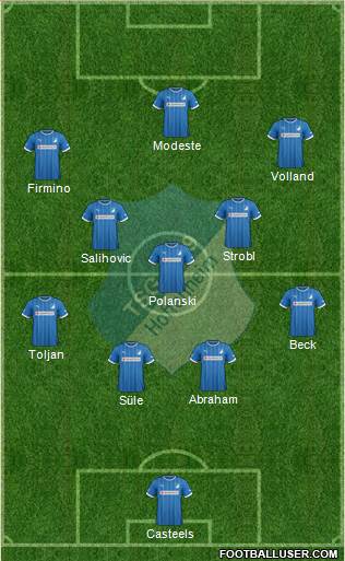 TSG 1899 Hoffenheim Formation 2013