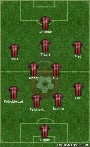 OGC Nice Côte d'Azur Formation 2013