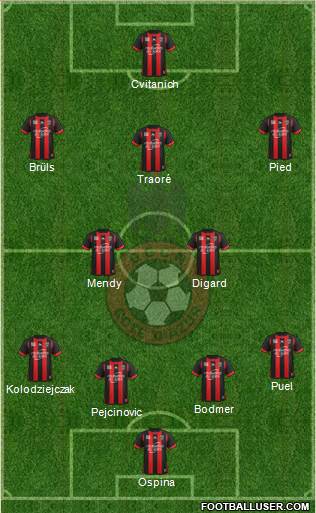 OGC Nice Côte d'Azur Formation 2013