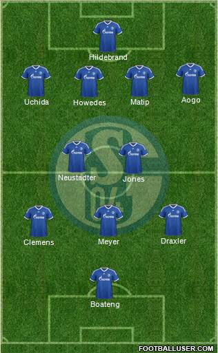 FC Schalke 04 Formation 2013