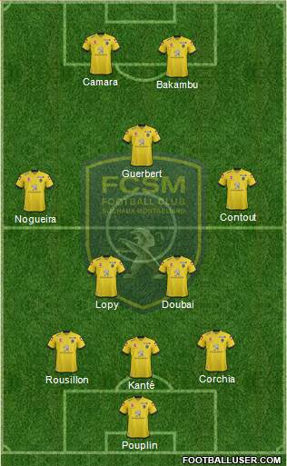 FC Sochaux-Montbéliard Formation 2013