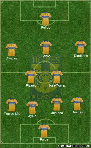 Club Universitario de Nuevo León Formation 2013