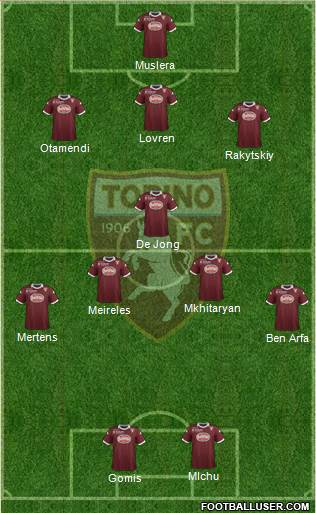 Torino Formation 2013