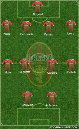 Ternana Formation 2013