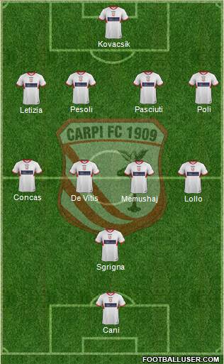 Carpi Formation 2013