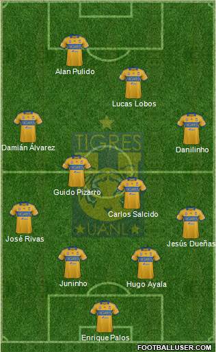 Club Universitario de Nuevo León Formation 2013