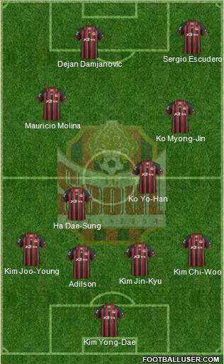 FC Seoul Formation 2013