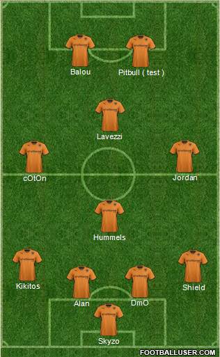 Wolverhampton Wanderers Formation 2013