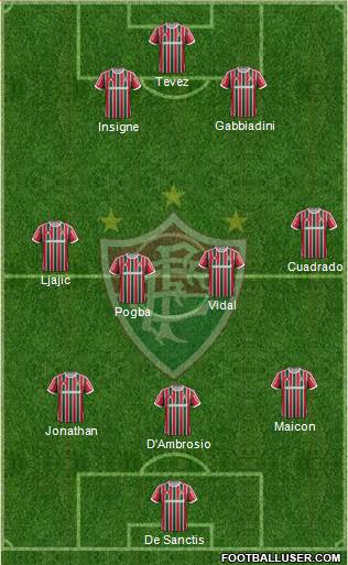 Fluminense FC Formation 2013