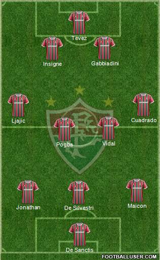 Fluminense FC Formation 2013