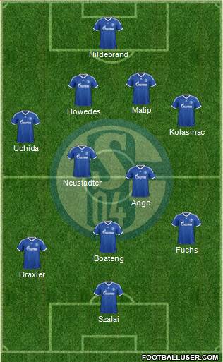 FC Schalke 04 Formation 2013