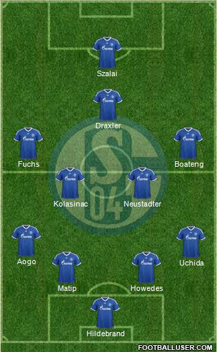 FC Schalke 04 Formation 2013