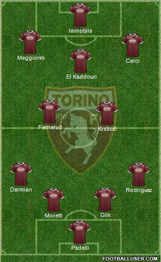 Torino Formation 2013