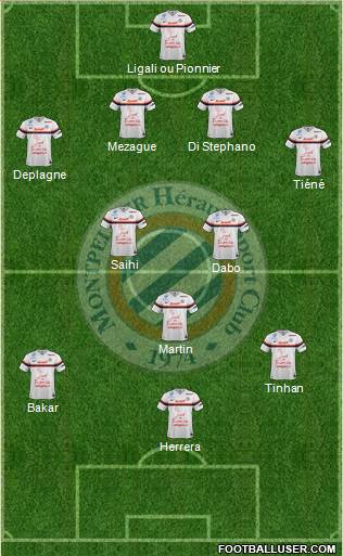 Montpellier Hérault Sport Club Formation 2013