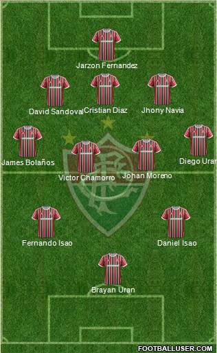 Fluminense FC Formation 2013