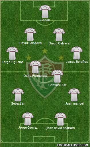 Fluminense FC Formation 2013