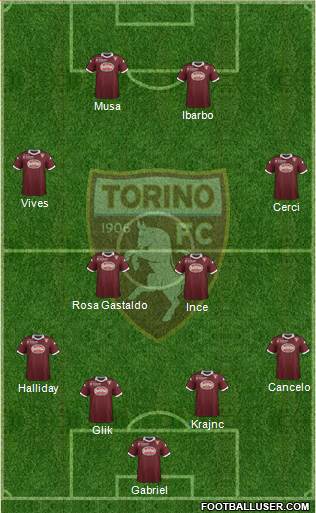 Torino Formation 2013