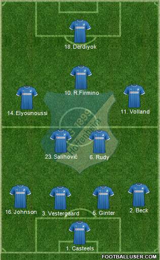 TSG 1899 Hoffenheim Formation 2013