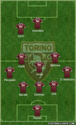 Torino Formation 2013