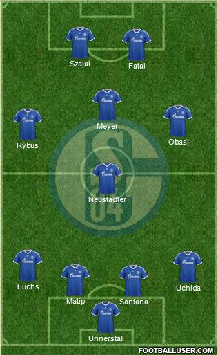 FC Schalke 04 Formation 2013