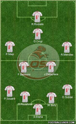 LOSC Lille Métropole Formation 2013