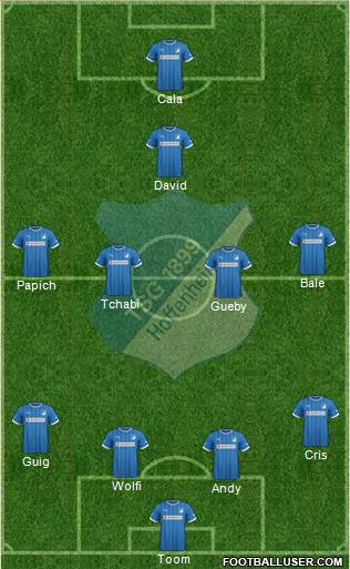 TSG 1899 Hoffenheim Formation 2013