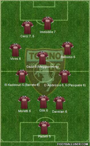 Torino Formation 2013