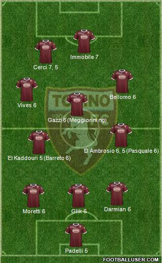 Torino Formation 2013