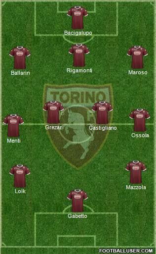 Torino Formation 2013