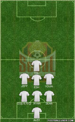 FC Seoul Formation 2013