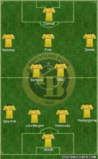 BSC Young Boys Formation 2013