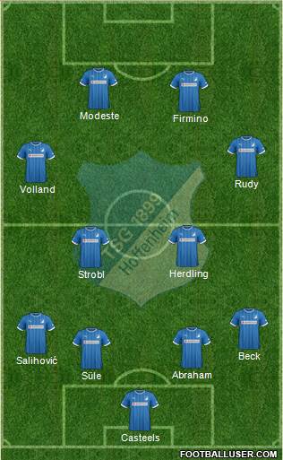 TSG 1899 Hoffenheim Formation 2013