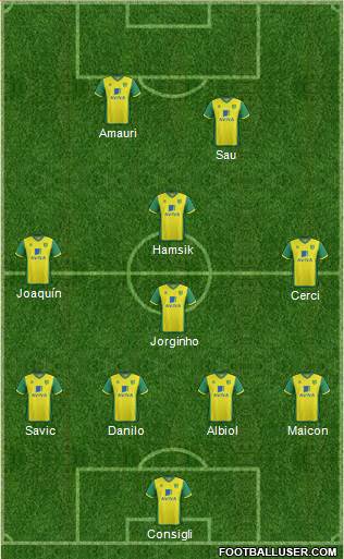 Norwich City Formation 2013