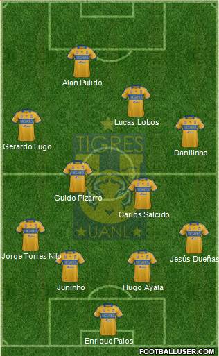 Club Universitario de Nuevo León Formation 2013