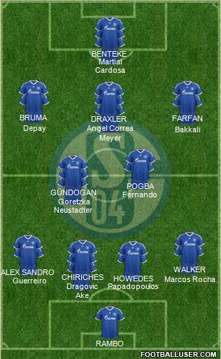 FC Schalke 04 Formation 2013