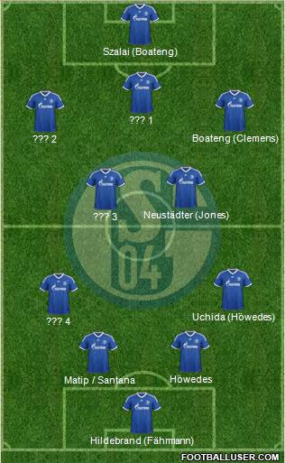 FC Schalke 04 Formation 2013