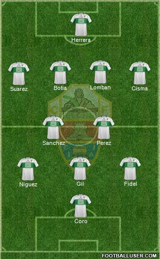 Elche C.F., S.A.D. Formation 2013