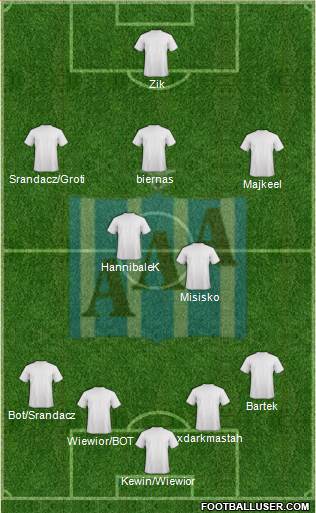 AA Arapongas Formation 2013