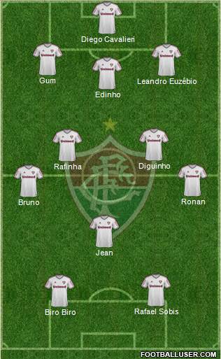 Fluminense FC Formation 2013