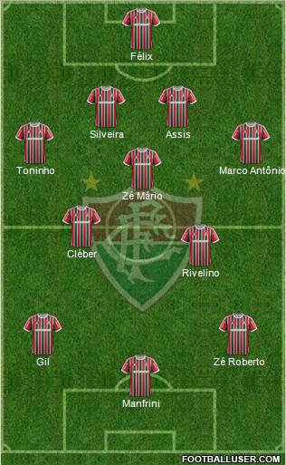 Fluminense FC Formation 2013